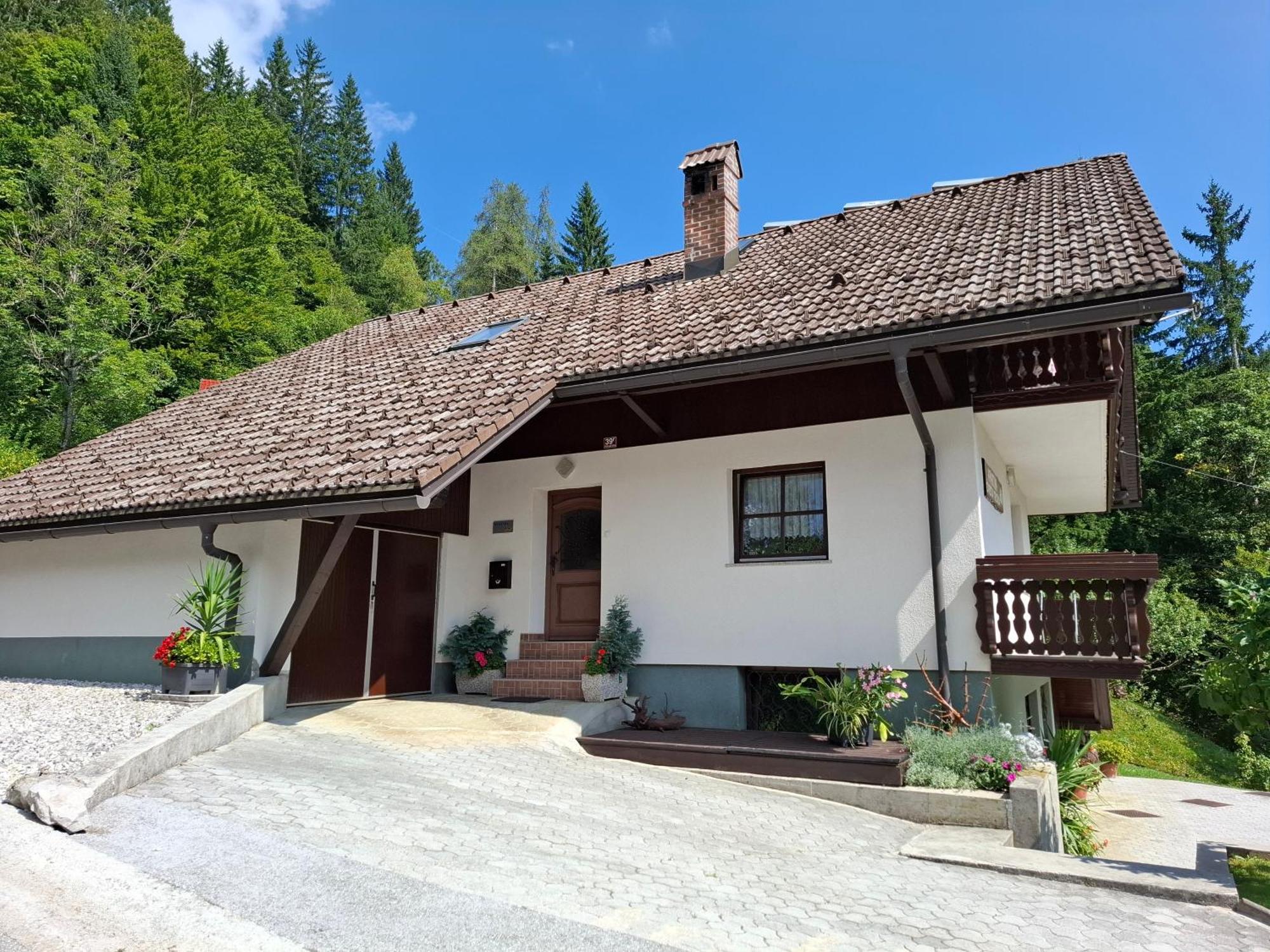 Apartma Cvrsta Trojka Jesenice Buitenkant foto