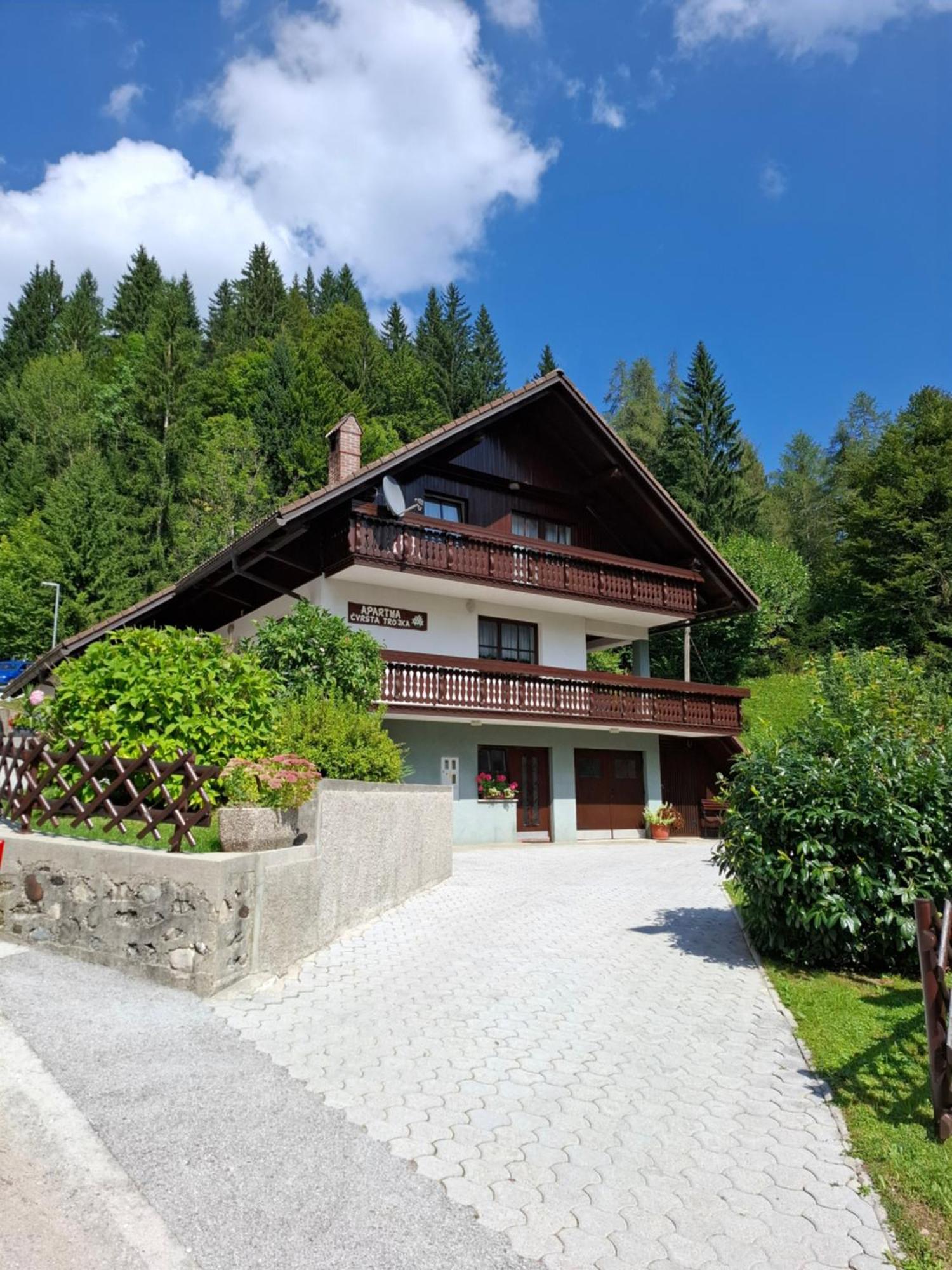 Apartma Cvrsta Trojka Jesenice Buitenkant foto