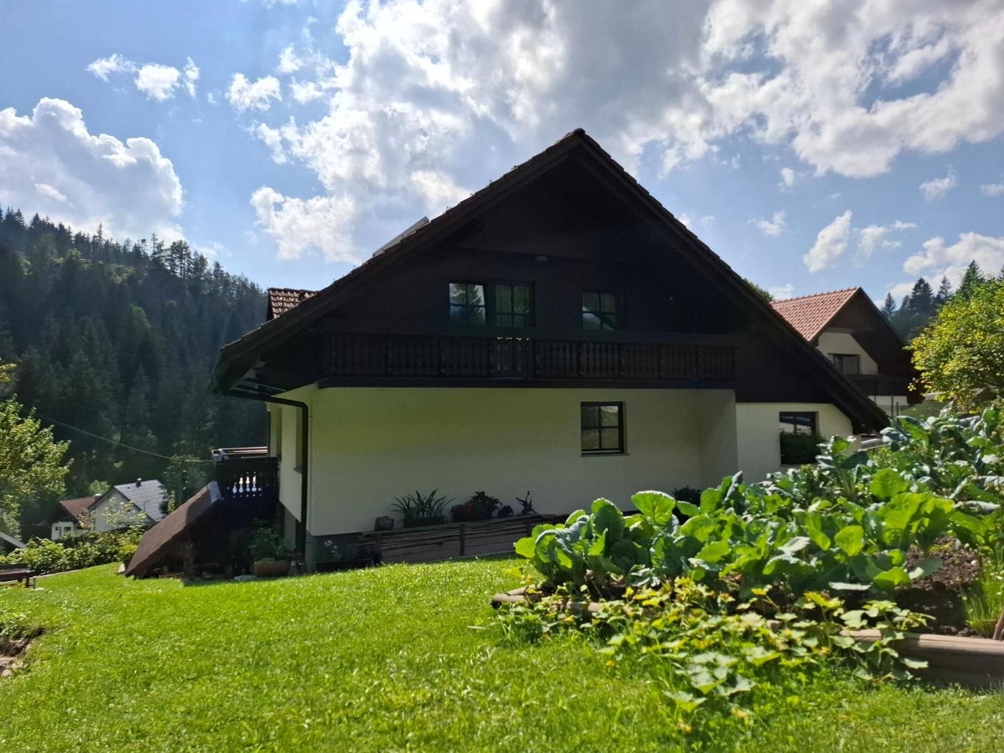 Apartma Cvrsta Trojka Jesenice Buitenkant foto